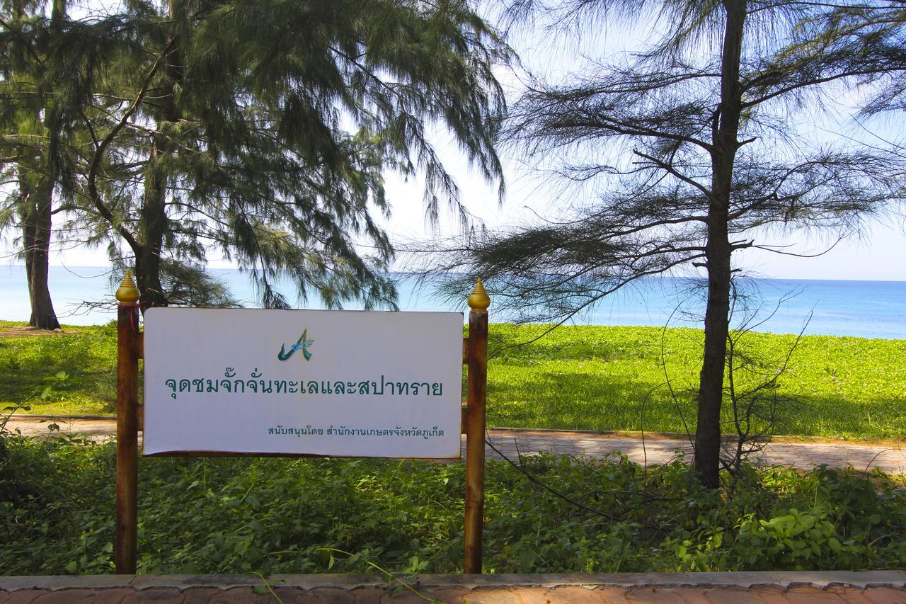 迈考棕榈海滩度假村 迈考海滩 外观 照片